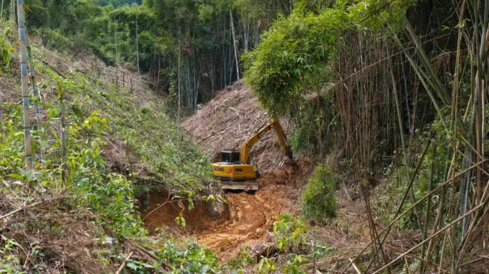 林间“藏龙”，竹海“卧虎”——pp电子林业挖机广西侠客行