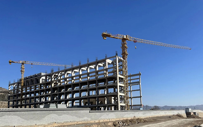 助力双碳  pp电子塔机赋能低热值煤发电项目